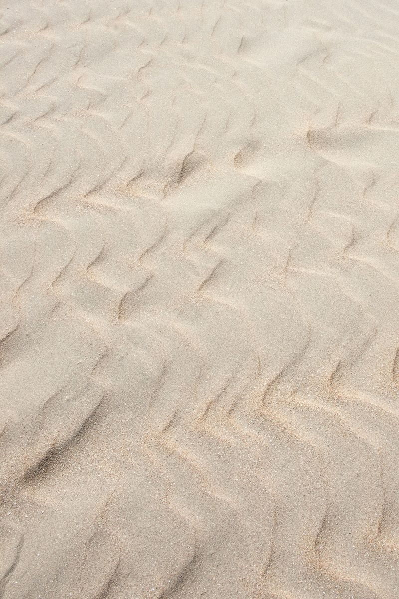 Wind rippled dune sand in low light.